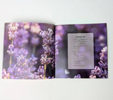 画像をギャラリービューアに読み込む, AROMARIUM Vol.1 ゆらぎと調和