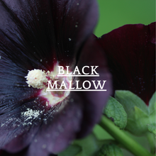 画像をギャラリービューアに読み込む, ミントブレンドハーブティ