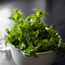 画像をギャラリービューアに読み込む, スペアミント /パウダーアロマ