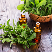 画像をギャラリービューアに読み込む, Sheet_a【ペパーミント】