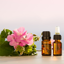 画像をギャラリービューアに読み込む, Sheet_a【ローズゼラニウム】