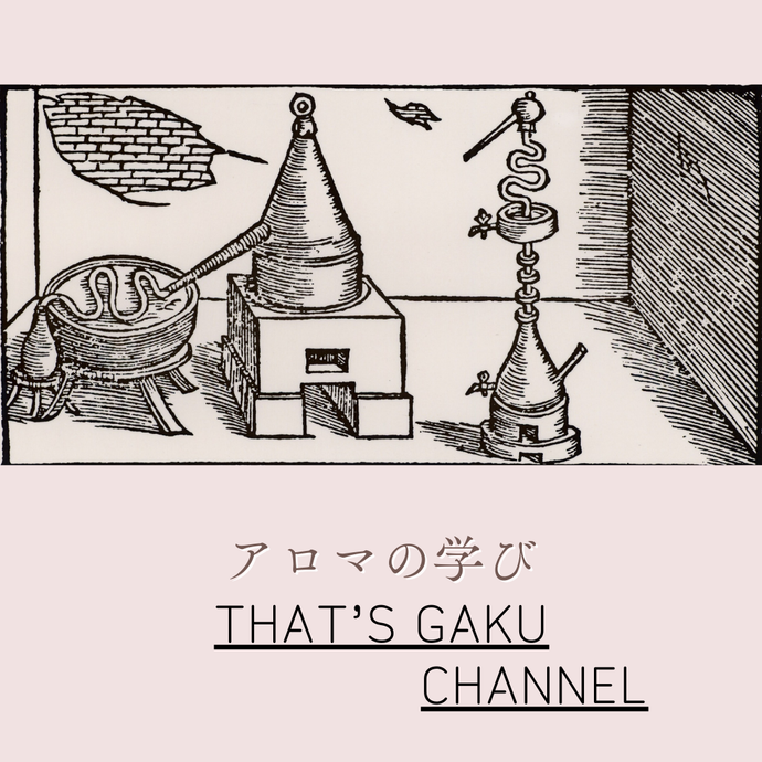 Youtube サイトのご案内